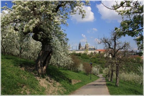 Petrin - Seminarska zahrada