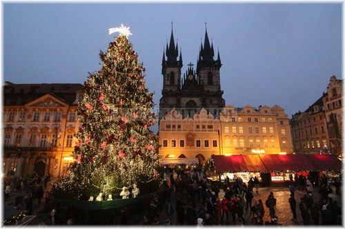 Pha1_staromak1412003_042_web