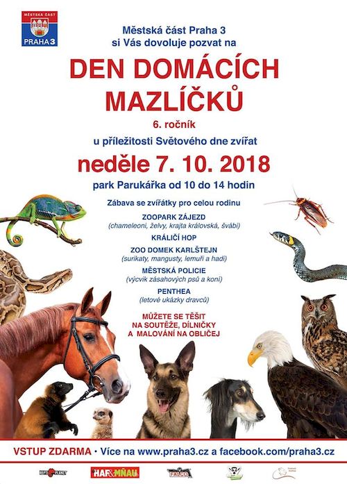 Den domacich mazlicku