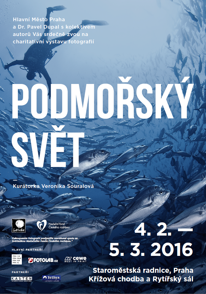 Výstava Podmořský svět