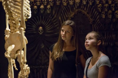 Body the Exhibition JVS 5