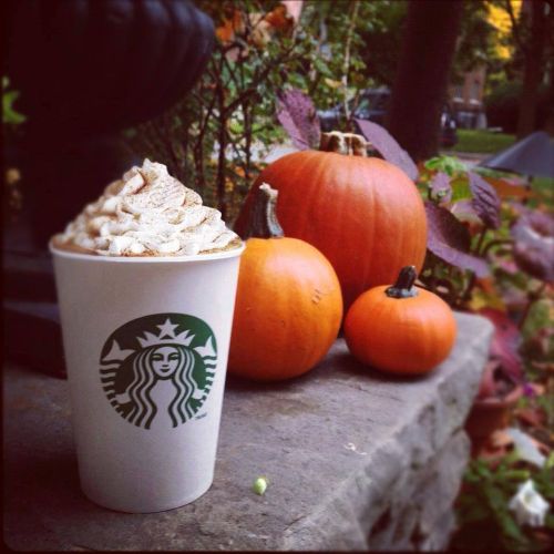 Starbucks Halloween čl