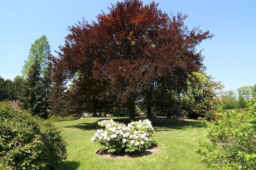 Pha1_ Prazsky hrad-Kralovska zahrada20180429_001