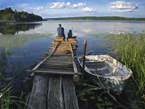 9bdcec07-b03f-4c65-b5d8-2e5a43148848_500_375_crop