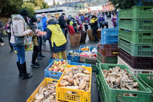 zoo-praha-vybirani-peciva