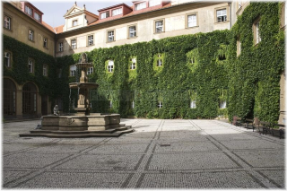 Klementinum - Révové nádvoří s kašnou   (foto: Eva Hodíková)
