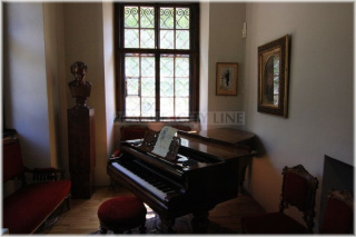 Michnův letohrádek(Amerika) a muzeum Antonína Dvořáka - interiér muzea