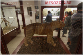 Chlupáčovo muzeum historie země