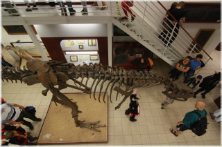 Chlupáčovo muzeum historie země