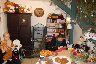 Medvedi muzeum - Medvedarium Praha