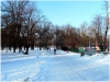 pha7_stromovka_101230_004