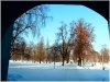 pha7_stromovka_101230_012