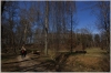 stromovka-110324_013