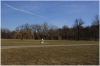 stromovka-110324_025