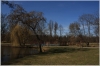 stromovka-110324_034