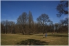 stromovka-110324_047