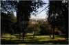 Petřín - zahrada Nebozízek