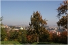 Petřín - Seminářská zahrada
