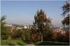 Petřín - Seminářská zahrada