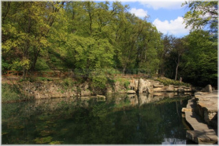 Petřín - zahrada Kinských jezírko s Lachtanem