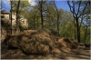 Petřín - zahrada Kinských - pískovcové skály