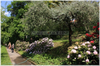 Praha 2 - Botanická zahrada Přírodovědecké fakulty UK