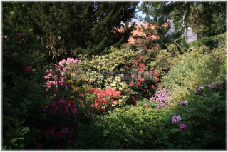 Praha 2 - Botanická zahrada Přírodovědecké fakulty UK