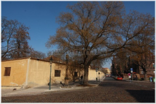 Praha 2 místo kde stávala Jedová chýše