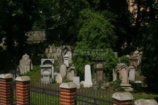 Starý židovský hřbitov na Žižkově