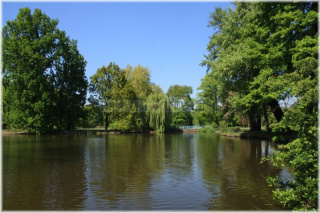 pha7-stromovka110506_059