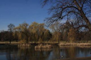 Královská obora - Stromovka - jezírko