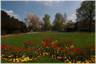 Královská zahrada Pražského hradu