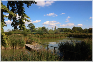 Pražský hrad - Produkční zahrady, rybník