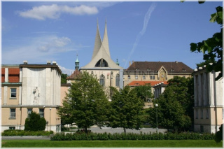 Zítkovy sady a v pozadí Emauzy