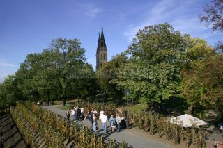 Vyšehrad - park