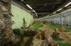 Adventure Minigolf