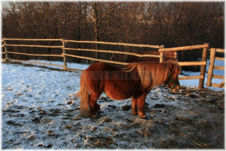 Praha 10 - Toulcův dvůr - areál