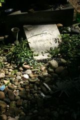 Nový židovský hřbitov - hrob Oty Pavla