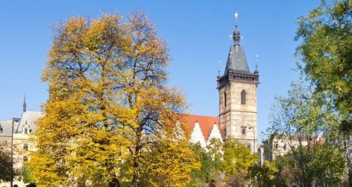 Komentované prohlídky Novoměstské radnice 2019