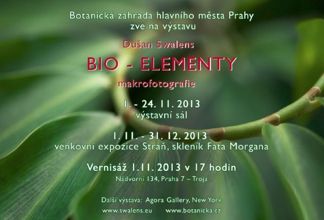 BIO Elementy - Dušan Swalens