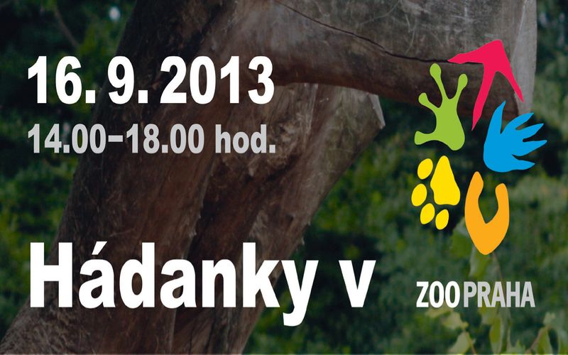 Hádanky v Zoo
