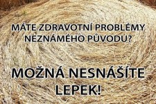 Podzimní bezlepkový trh