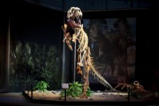 Dinosaurium aneb výprava do Druhohor