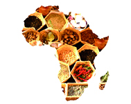 Festival africké kuchyně