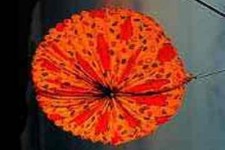 Lampionový průvod po Zbraslavi