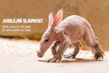 Výroční slavnost založení Zoo Praha 2016