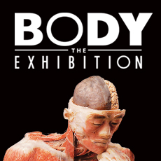 Se samými jedničkami na výstavu Body The Exhibition zdarma