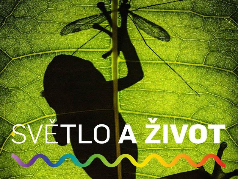 Výstava světlo a život 