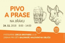 Prase na Jiřáku