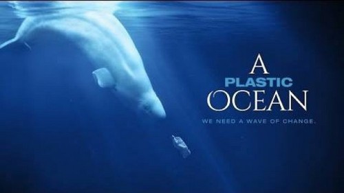 Filmu ¨A Plastic Ocean¨ pod záštitou Greenpeace ČR